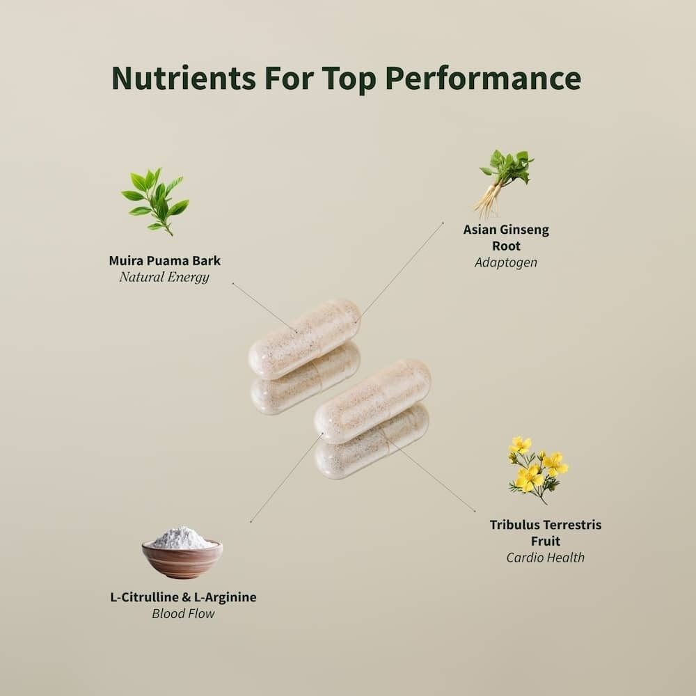 Nitric Oxide Booster(90ct)